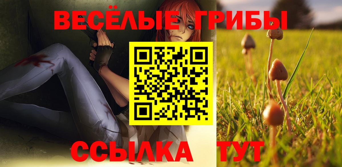 Дивногорск  Псилоцибиновые грибы мицелий  Вход с VPN 